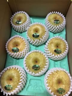 熊本県産　秋麗梨　8玉　2.5〜3kgのサムネイル