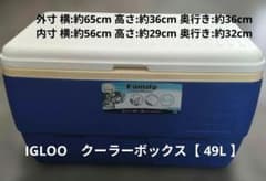 Igloo Family クーラーボックス 49Lのサムネイル
