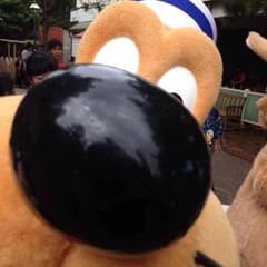 さおりさん専用(^o^)のサムネイル