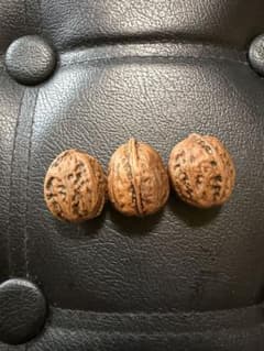 遊び胡桃のサムネイル