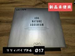未開封 ADA 限定キーホルダー 2種 キーリング アクアデザインアマノ