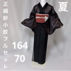 正絹】紗 小紋 フルセット 4点 夏着物と夏帯と夏帯締めと夏帯揚げ 裄70