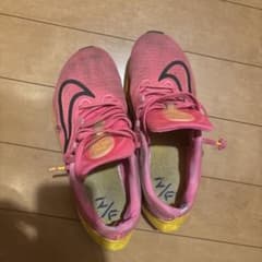 NIKEズームフライ5のサムネイル