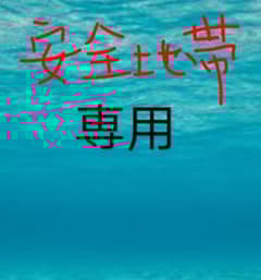 塩筋子１ｋ 切れたらこ２ｋ 安全地帯 塩筋子1k 切れたらこ2k 安全地帯様専用 - メルカリ