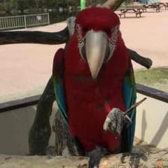 ホライゾン様専用のサムネイル