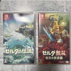 ゼルダの伝説 ティアーズオブザキングダム、ゼルダ無双 厄災の黙示録