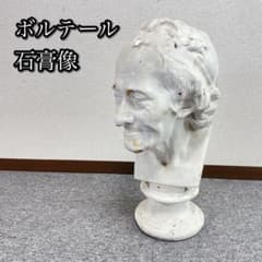 Voltaire bust, plaster cast, sculpture, drawing, art piece.