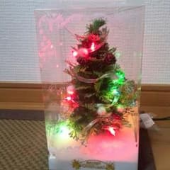 ミニ　クリスマスツリー　光るのサムネイル