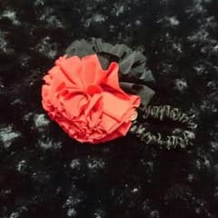 Acid Black Cherry フリーライブ シュシュのサムネイル