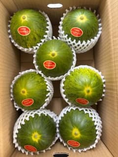 産地直送！甘いパパイヤメロン❗️肉厚で甘くて美味しい❗️6玉入り！箱込み5キロ 産地直送！甘いパパイヤメロン❗️肉厚で甘くて美味しい❗️6玉入り