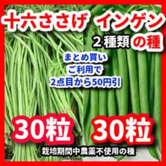 インゲン＆十六ささげの種セット⭕️のサムネイル