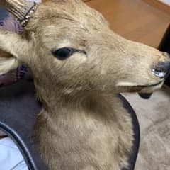 鹿の壁掛けのサムネイル