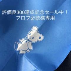 評価良300達成記念セール中！ プロフ必読様専用のサムネイル