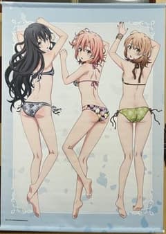 애니 마루! 한정 역시 내 청춘 러브 쌀은 잘못되어있다. B2 태피스트리