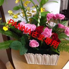 PANNA様専用ページですのサムネイル