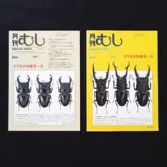 月刊むし 1997年6月号 1998年6月号 クワガタ特集号 2冊セット - メルカリ