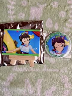【神谷しおん・まとめ売り】アイカツ アニON マグネット付きバッジ3個セット アイカツ 神谷しおん キャンバスボード 缶バッジ - メルカリ