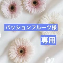 希少品種 レア 四季咲きバラ苗 大輪 ブルー ⭐️購入前必ずコメント