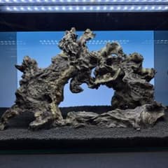 MJW-7237 「特選」ジンジャーウッド　60cm水槽用　天然流木3本セット MJW-7681 ジンジャーウッド 3本セット 天然流木 アクアリウム - メルカリ