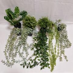 フェイクグリーン・造花 観葉植物まとめ売り（訳あり・おまけ付き）IKEA/ニトリのサムネイル