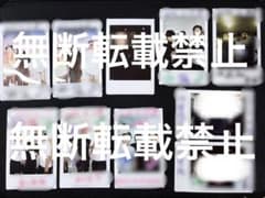伝書鳩 チェキ 9枚セットのサムネイル
