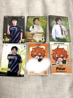 제5인격 피터 포토카드&ijl 카드 세트
