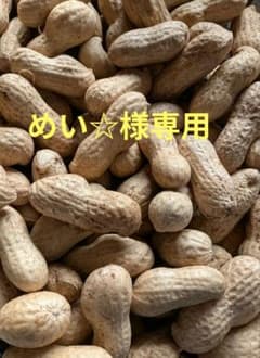 『めい☆様』専用　千葉県産　農薬不使用　おおまさり1㌔のサムネイル