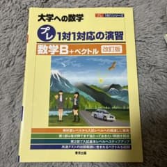 プレ1対1対応の演習/数学B+ベクトル[改訂版]のサムネイル
