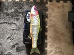 ダウズスイマーのサムネイル