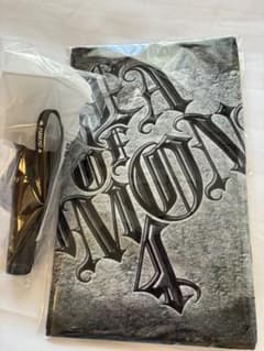 新品 未開封 ちゃんみな CHANMINA タオル ペンライトセット AOD4