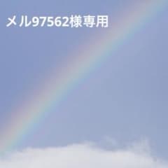 ワミレス】サンプロテクトエッセンスC2本、ラミネート10袋 - メルカリ