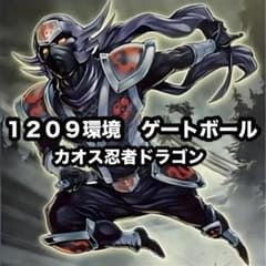 遊戯王　ゲートボール　クラシック　1203環境　カオスドラゴンデッキ 遊戯王 ゲートボール クラシック 1203環境 カオスドラゴンデッキ