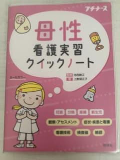 母性看護実習クイックノートのサムネイル