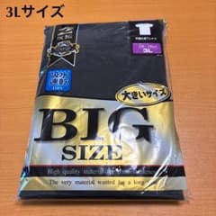 吸水速乾 DRY 半袖シャツ メンズ3L ２枚組 丸首