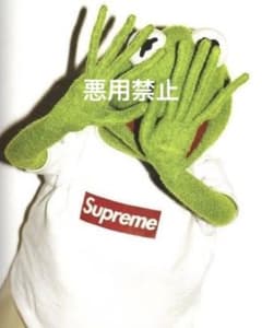 アートポスター インテリアポスター A4 カーミット supremeのサムネイル