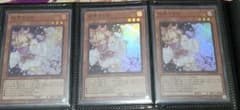 遊戯王 灰流うらら スーパーレア 3枚セットのサムネイル