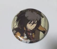 Attack Titan Mikasa