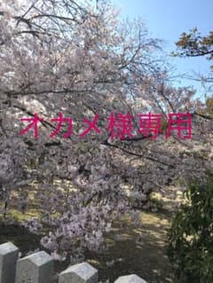 オカメ様専用のサムネイル