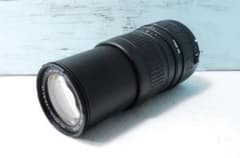 キャノン用 300mm 超望遠 ズームレンズ SIGMA - メルカリ