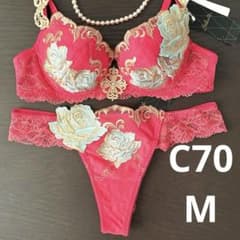 最安値　希少　サルート　91G 2点　ブラジャーC70 ショーツM 最安値 希少 サルート 91G 2点 ブラジャーC70 ショーツM 最安値 希少