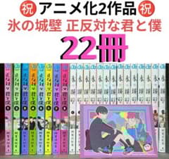 22冊】 氷の城壁 正反対な君と僕 - メルカリ