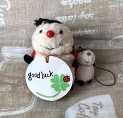 m76828521975_1.jpg?1738229270