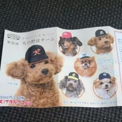 犬の野球チーム  帽子のサムネイル