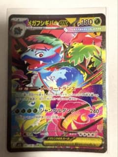 メガフシギバナEX SARのサムネイル
