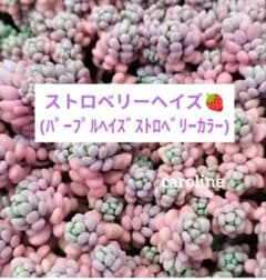 rin様 リクエスト 2点 まとめ商品 - メルカリ