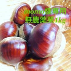 momo様専用 くり 無農薬 神奈川のサムネイル