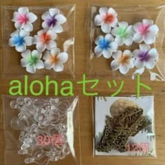 Riho様専用alohaセットのサムネイル