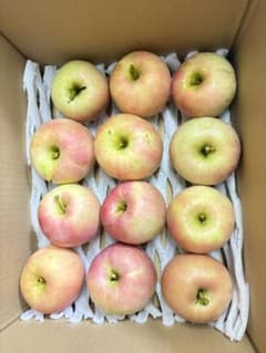 山形産早生ふじりんご　涼香の季節　加工用箱込み10kバラ詰めのサムネイル