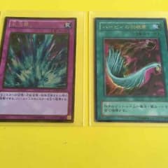 ハーピィの羽根箒のサムネイル
