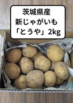 【送料込み！お試し2kg】栽培期間中農薬・化学肥料不使用「とうや」（新じゃが）のサムネイル